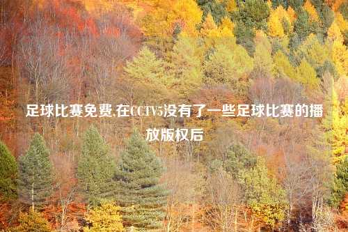 足球比赛免费,在CCTV5没有了一些足球比赛的播放版权后