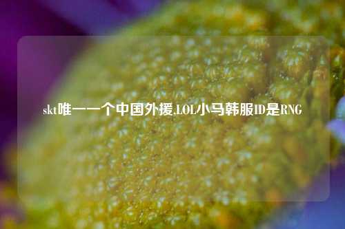 skt唯一一个中国外援,LOL小马韩服ID是RNG