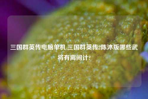 三国群英传电脑单机,三国群英传2陈沐版哪些武将有离间计?