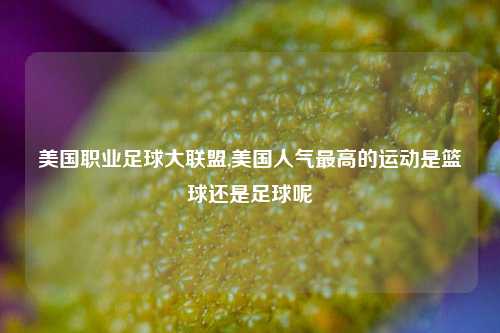 美国职业足球大联盟,美国人气最高的运动是篮球还是足球呢