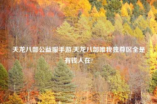 天龙八部公益服手游,天龙八部唯我独尊区全是有钱人在?