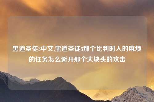 黑道圣徒3中文,黑道圣徒3那个比利时人的麻烦的任务怎么避开那个大块头的攻击