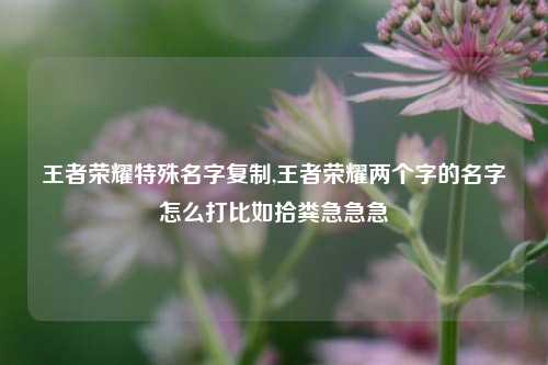 王者荣耀特殊名字复制,王者荣耀两个字的名字怎么打比如拾粪急急急