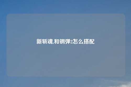 新斩魂,和钢弹2怎么搭配