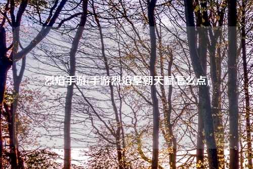 烈焰手游(手游烈焰皇朝天赋怎么点)