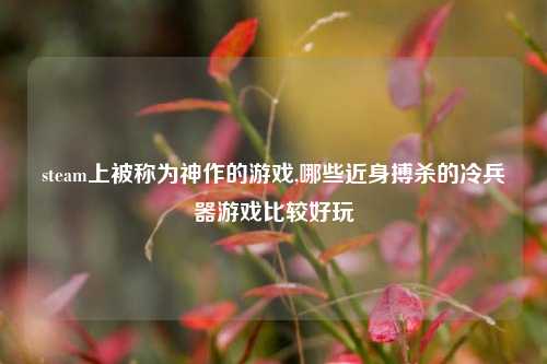 steam上被称为神作的游戏,哪些近身搏杀的冷兵器游戏比较好玩