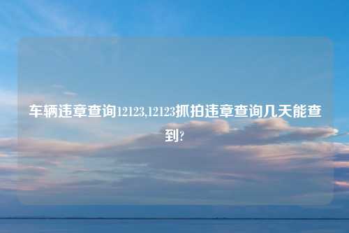 车辆违章查询12123,12123抓拍违章查询几天能查到?
