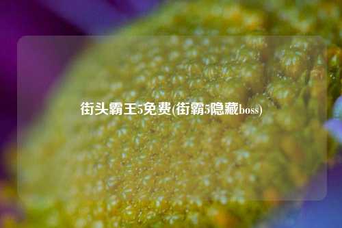 街头霸王5免费(街霸5隐藏boss)