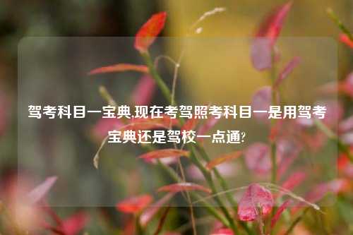 驾考科目一宝典,现在考驾照考科目一是用驾考宝典还是驾校一点通?