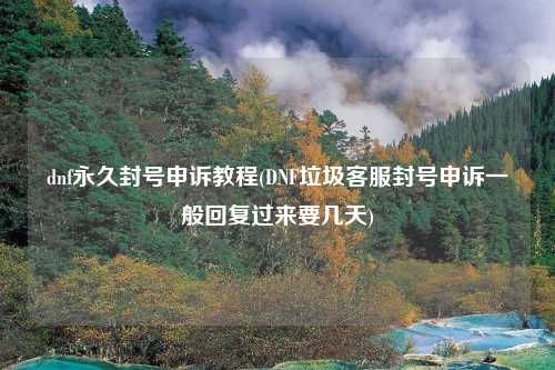 dnf永久封号申诉教程(DNF垃圾客服封号申诉一般回复过来要几天)