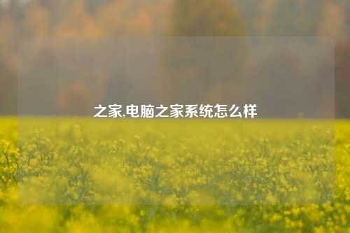 之家,电脑之家系统怎么样