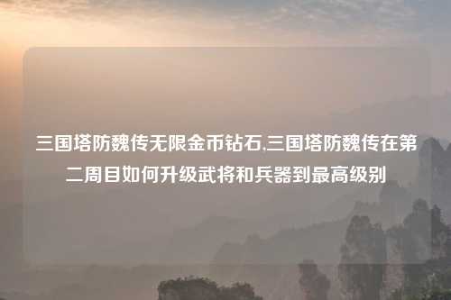 三国塔防魏传无限金币钻石,三国塔防魏传在第二周目如何升级武将和兵器到最高级别