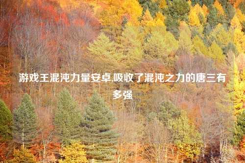 游戏王混沌力量安卓,吸收了混沌之力的唐三有多强