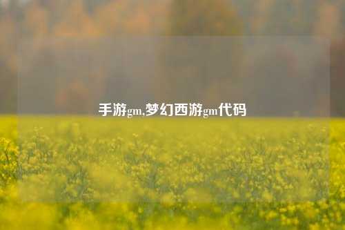 手游gm,梦幻西游gm代码