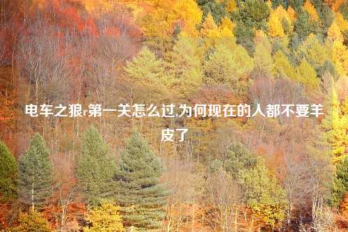 电车之狼r第一关怎么过,为何现在的人都不要羊皮了