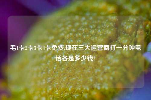 毛1卡2卡3卡4卡免费,现在三大运营商打一分钟电话各是多少钱?