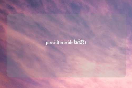 provid(provide短语)
