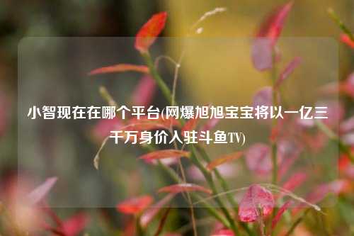 小智现在在哪个平台(网爆旭旭宝宝将以一亿三千万身价入驻斗鱼TV)