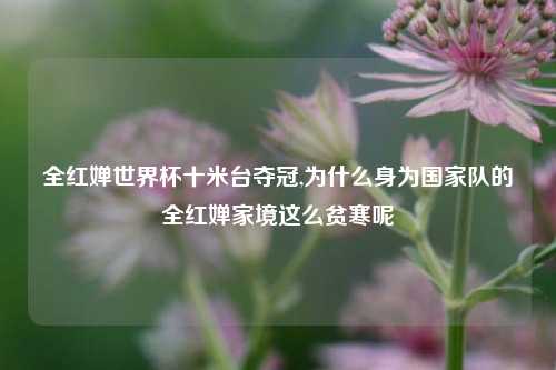 全红婵世界杯十米台夺冠,为什么身为国家队的全红婵家境这么贫寒呢