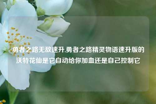 勇者之路无敌速升,勇者之路精灵物语速升版的沃特花仙是它自动给你加血还是自己控制它
