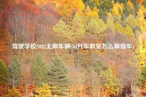 驾驶学校2022无限车辆(3d开车教室怎么解锁车)
