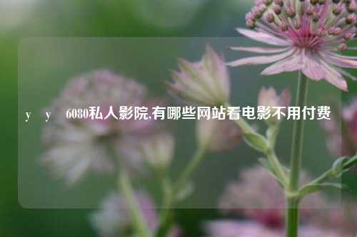 y y 6080私人影院,有哪些网站看电影不用付费