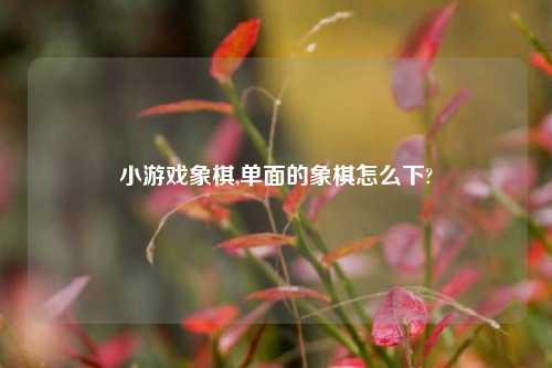 小游戏象棋,单面的象棋怎么下?