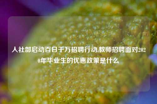 人社部启动百日千万招聘行动,教师招聘面对2020年毕业生的优惠政策是什么
