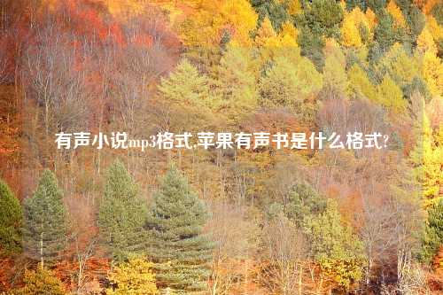 有声小说mp3格式,苹果有声书是什么格式?