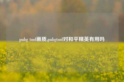 pubg tool画质,pubgtool对和平精英有用吗