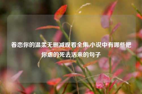 眷恋你的温柔无删减观看全集,小说中有哪些把你虐的死去活来的句子