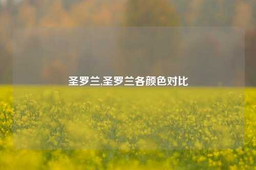 圣罗兰,圣罗兰各颜色对比