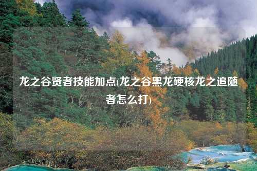 龙之谷贤者技能加点(龙之谷黑龙硬核龙之追随者怎么打)