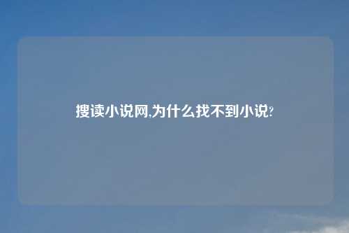 搜读小说网,为什么找不到小说?