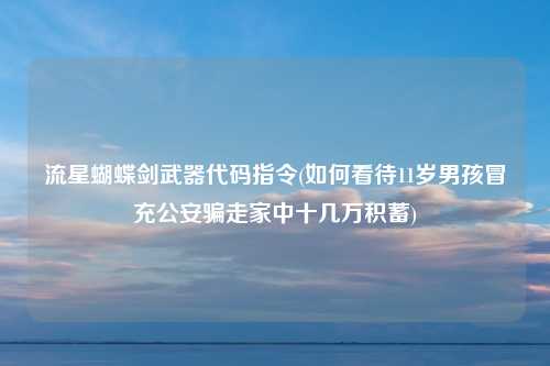 流星蝴蝶剑武器代码指令(如何看待11岁男孩冒充公安骗走家中十几万积蓄)
