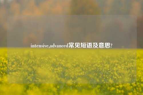intensive,advanced常见短语及意思?