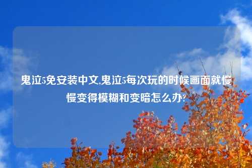 鬼泣5免安装中文,鬼泣5每次玩的时候画面就慢慢变得模糊和变暗怎么办?