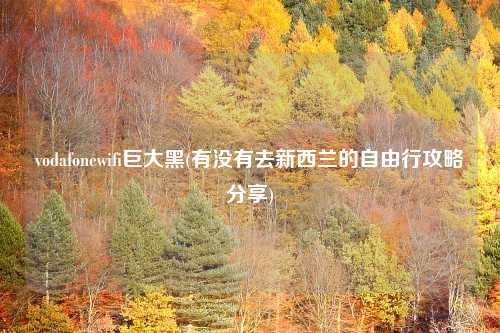 vodafonewifi巨大黑(有没有去新西兰的自由行攻略分享)