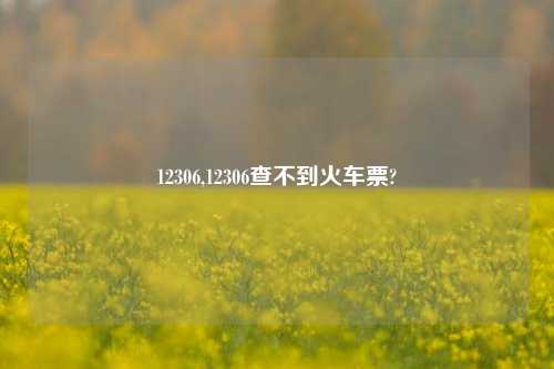 12306,12306查不到火车票?