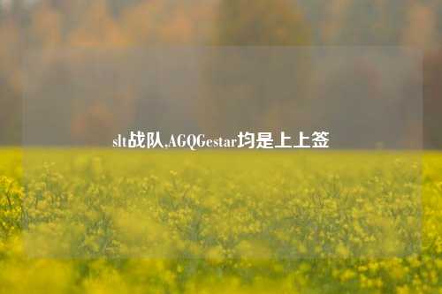 slt战队,AGQGestar均是上上签