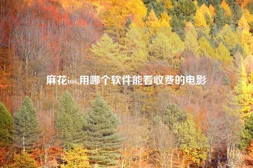 麻花ios,用哪个软件能看收费的电影