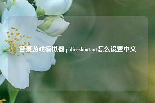 警察游戏模拟器,policeshootout怎么设置中文