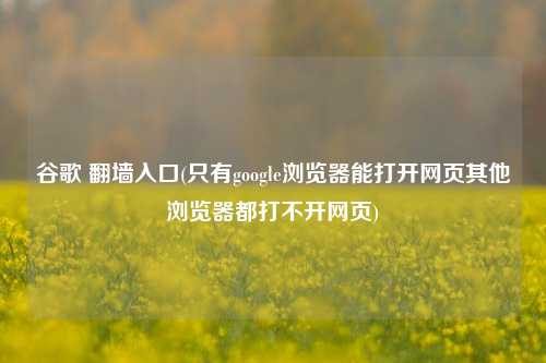 谷歌 翻墙入口(只有google浏览器能打开网页其他浏览器都打不开网页)