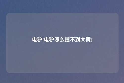 电驴(电驴怎么搜不到大黄)
