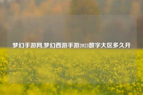 梦幻手游网,梦幻西游手游2023数字大区多久开