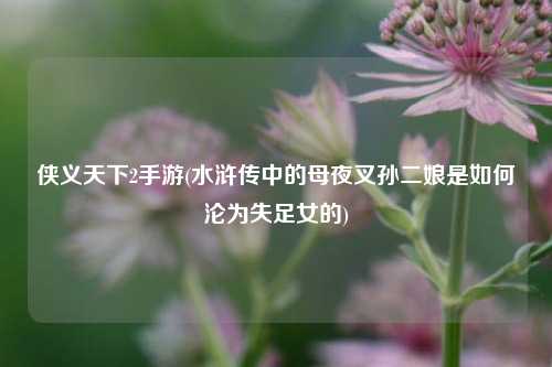 侠义天下2手游(水浒传中的母夜叉孙二娘是如何沦为失足女的)