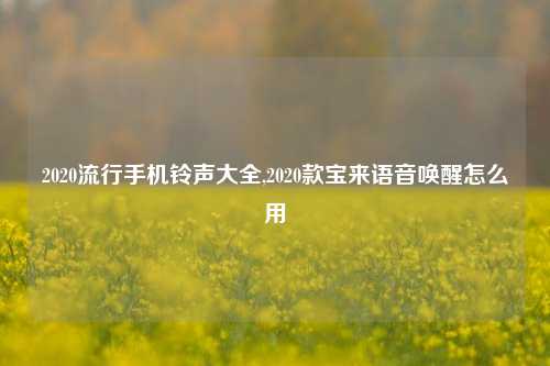 2020流行手机铃声大全,2020款宝来语音唤醒怎么用