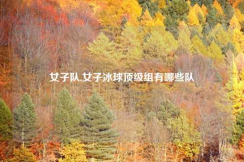 女子队,女子冰球顶级组有哪些队