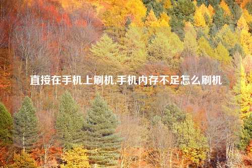 直接在手机上刷机,手机内存不足怎么刷机