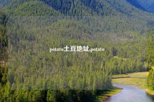 potato土豆地址,potato
